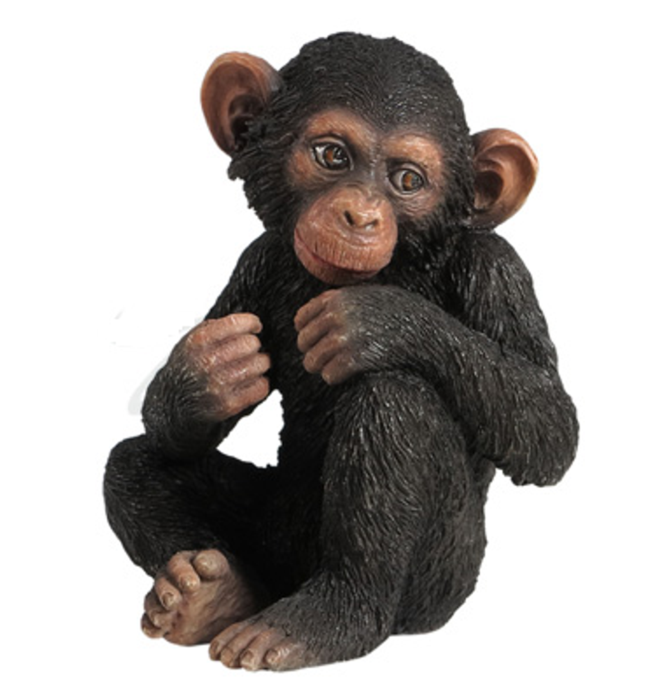 Baby Chimpanzee Sculpture | USIWU75400AA