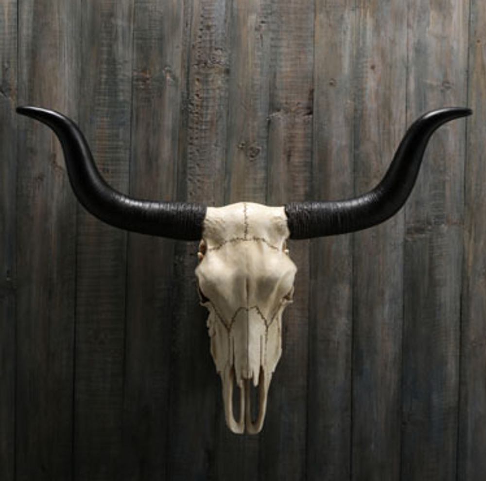 Longhorn Skull Wall Sculpture | USIWU78009VA