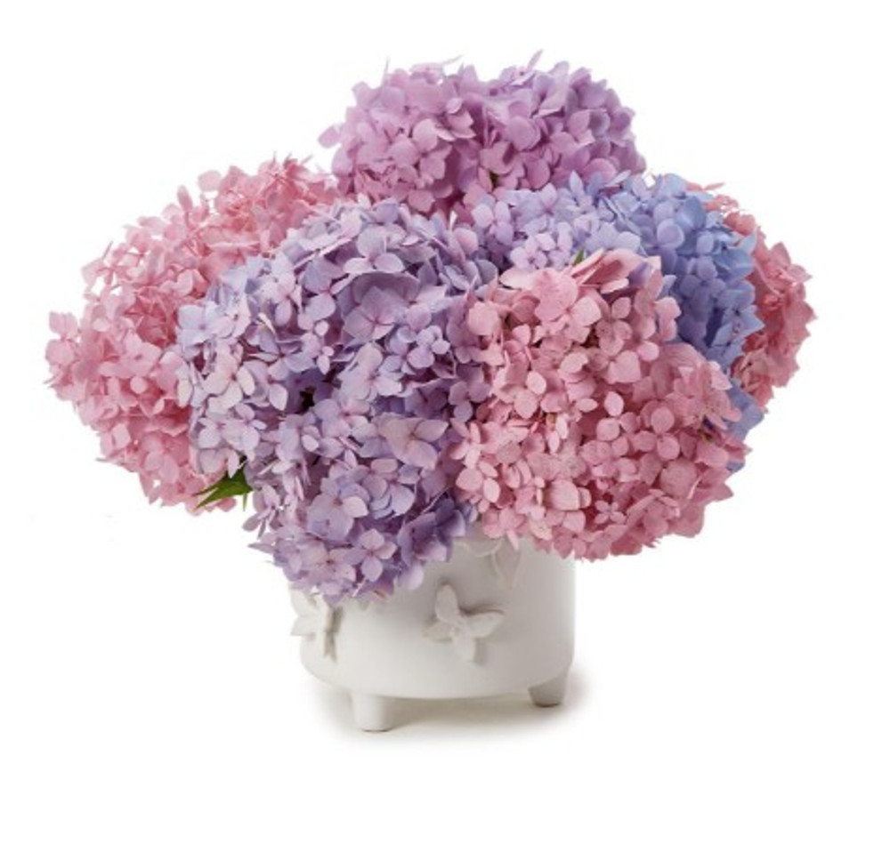 Footed Sculptural Butterfly Porcelain Garden Cachepot | TC54956