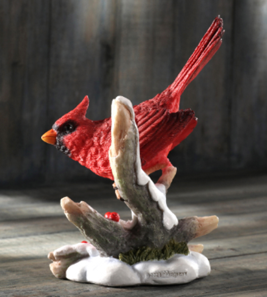 Cardinal Perching on Snowy Branch | USIWU78134AA
