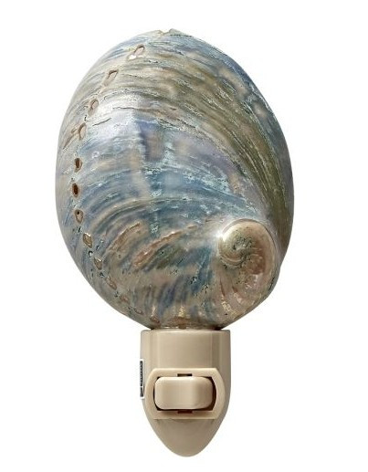 Seashell Nightlight | Polished Greenlip Abalone Shell LED Nightlight