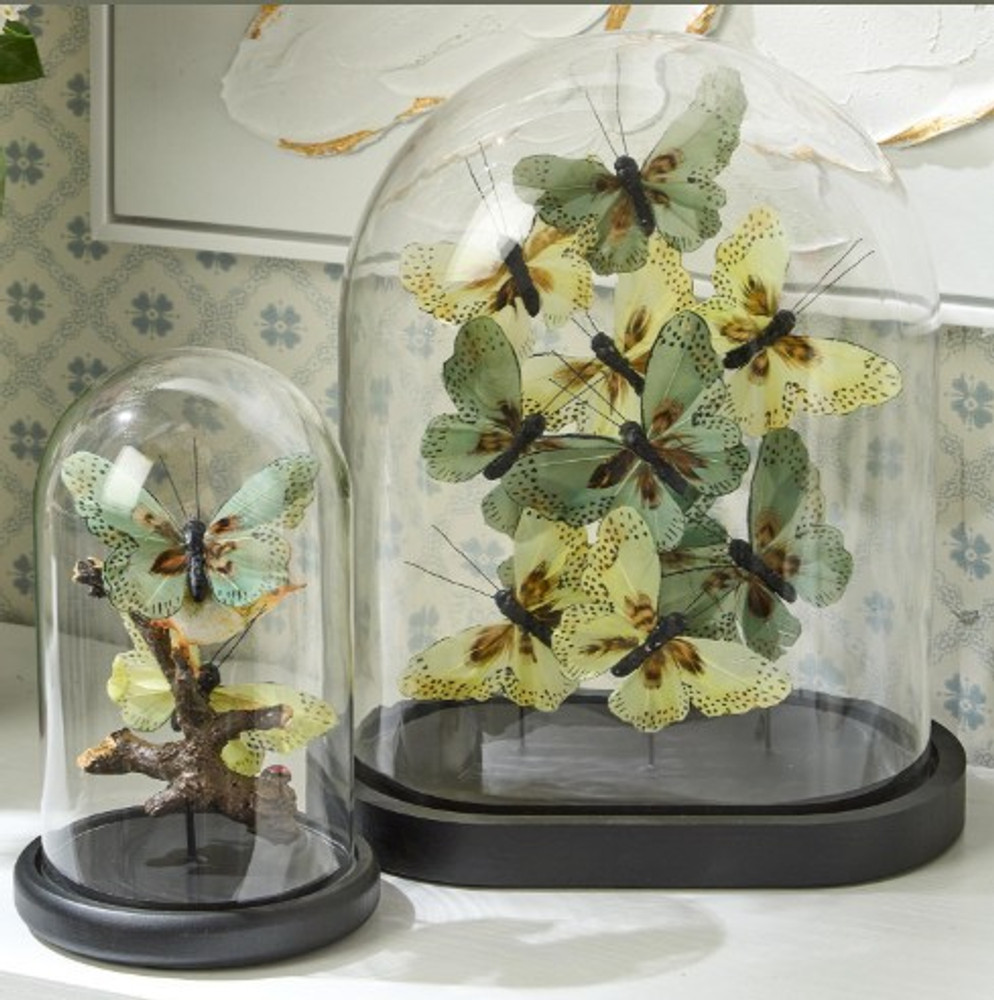 Butterfly and Bird Sculpture In Dome | TCFNG007