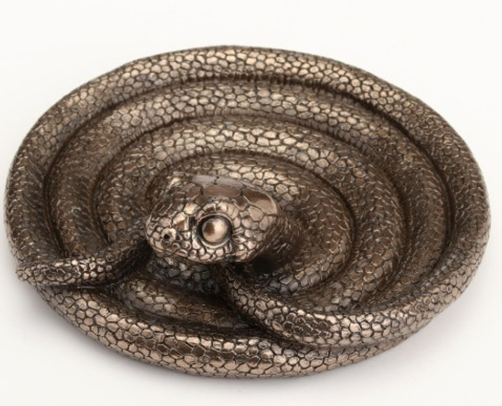 Coiling Snake Trinket Dish | USIWU78356A1