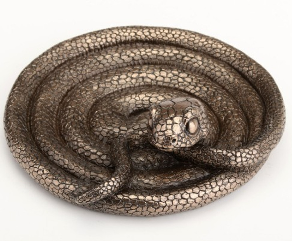 Coiling Snake Trinket Dish | USIWU78356A1