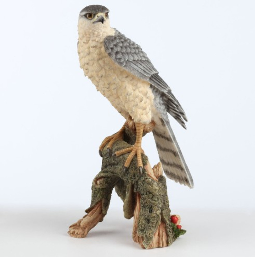 Sparrow Hawk on Branch Sculpture | USIWU78388AA