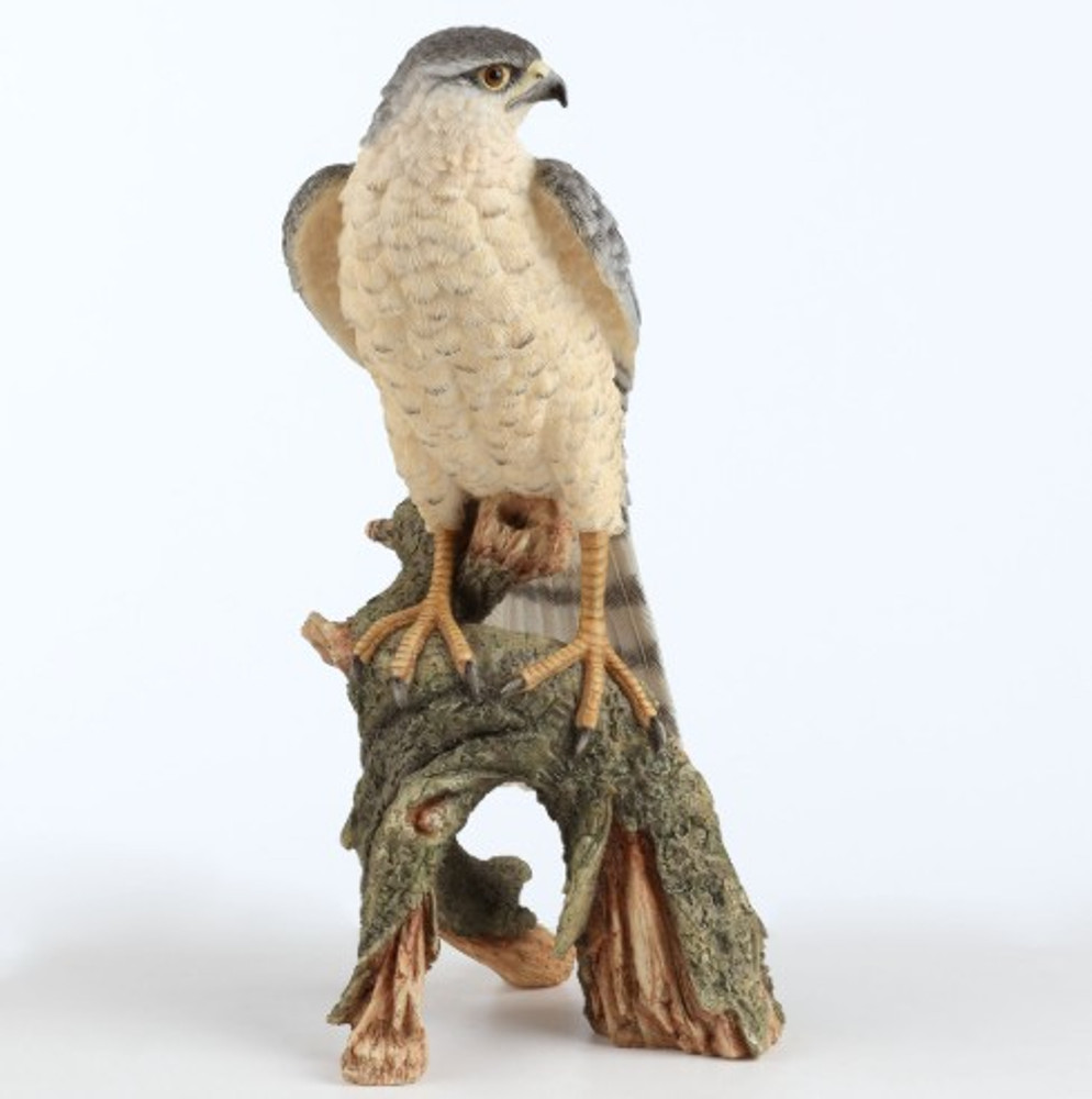 Sparrow Hawk on Branch Sculpture | USIWU78388AA