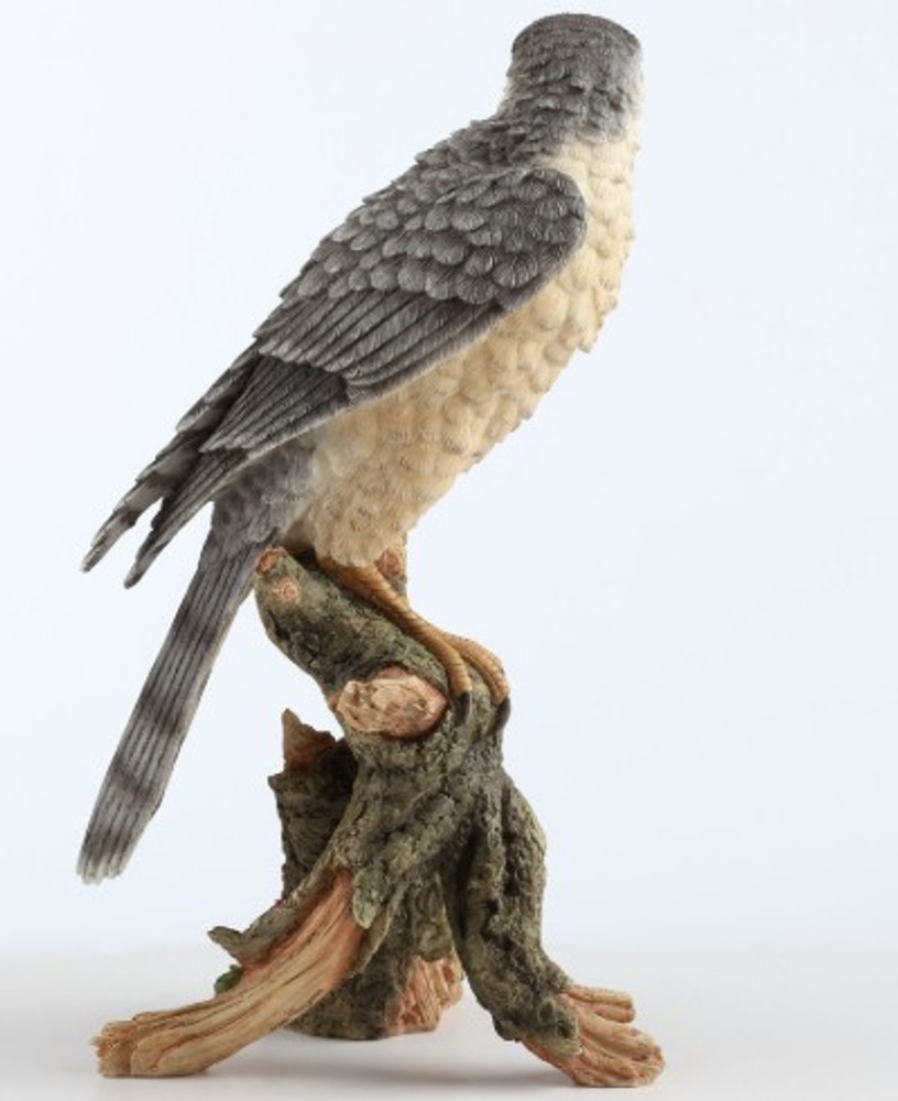 Sparrow Hawk on Branch Sculpture | USIWU78388AA