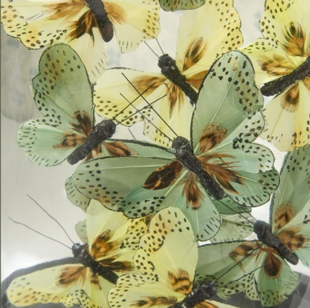 Flora and Fauna Butterflies in Oval Dome Sculpture | TCFNG006-GRN