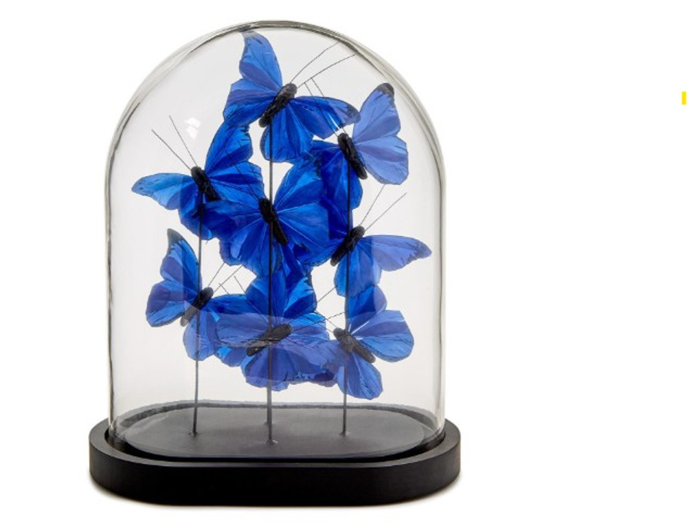 Ultramarine Butterflies in Oval Dome Sculpture | TCFNG006-BL
