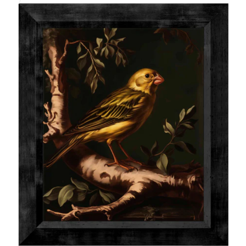 Limited Edition Yellow Warbler Canvas "Radiant Melody" (WWD172803)