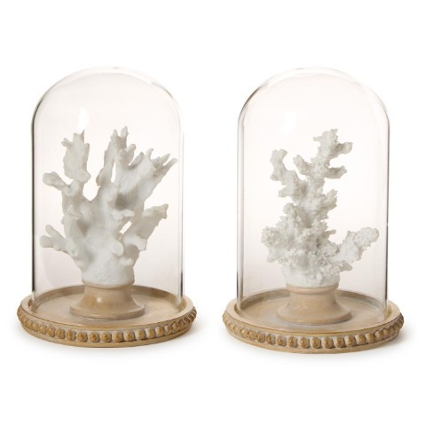 White Coral Sculpture in Round Dome | TCEAA001-ASST