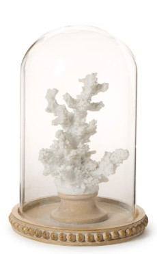 White Coral Sculpture in Round Dome | TCEAA001-ASST
