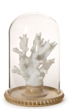 White Coral Sculpture in Round Dome | TCEAA001-ASST