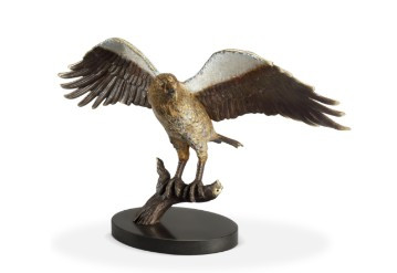 Majestic Eagle on Branch