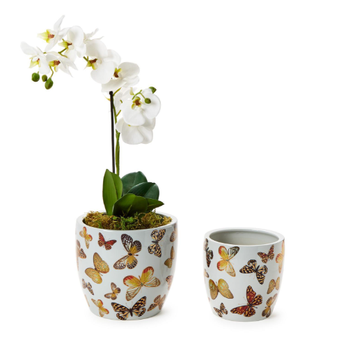 Golden Butterfly Porcelain Garden Cachepot 
| TCBLF182