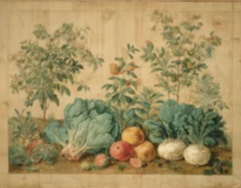 Martha Stewart Bedford | Kitchen Garden Harvest | Framed Country Farmhouse Wall Art | WWDMS00055a