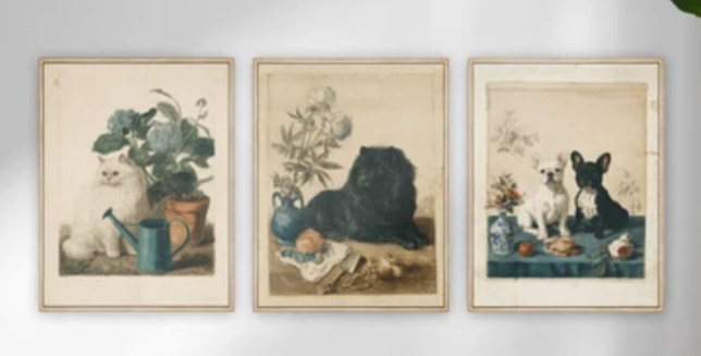 Martha Stewart Bedford | Garden Still Life: Cat in Garden | Framed Wall Art | WWDMS00036a
