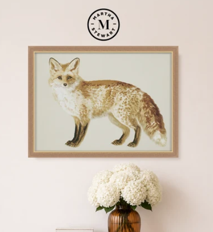 Martha Stewart Bedford | Farm Wildlife Portrait: Fox | Framed Wall Art | WWDMS00056a