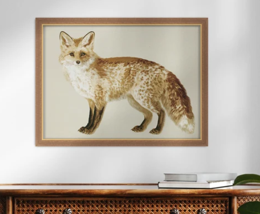 Martha Stewart Bedford | Farm Wildlife Portrait: Fox | Framed Wall Art | WWDMS00056a
