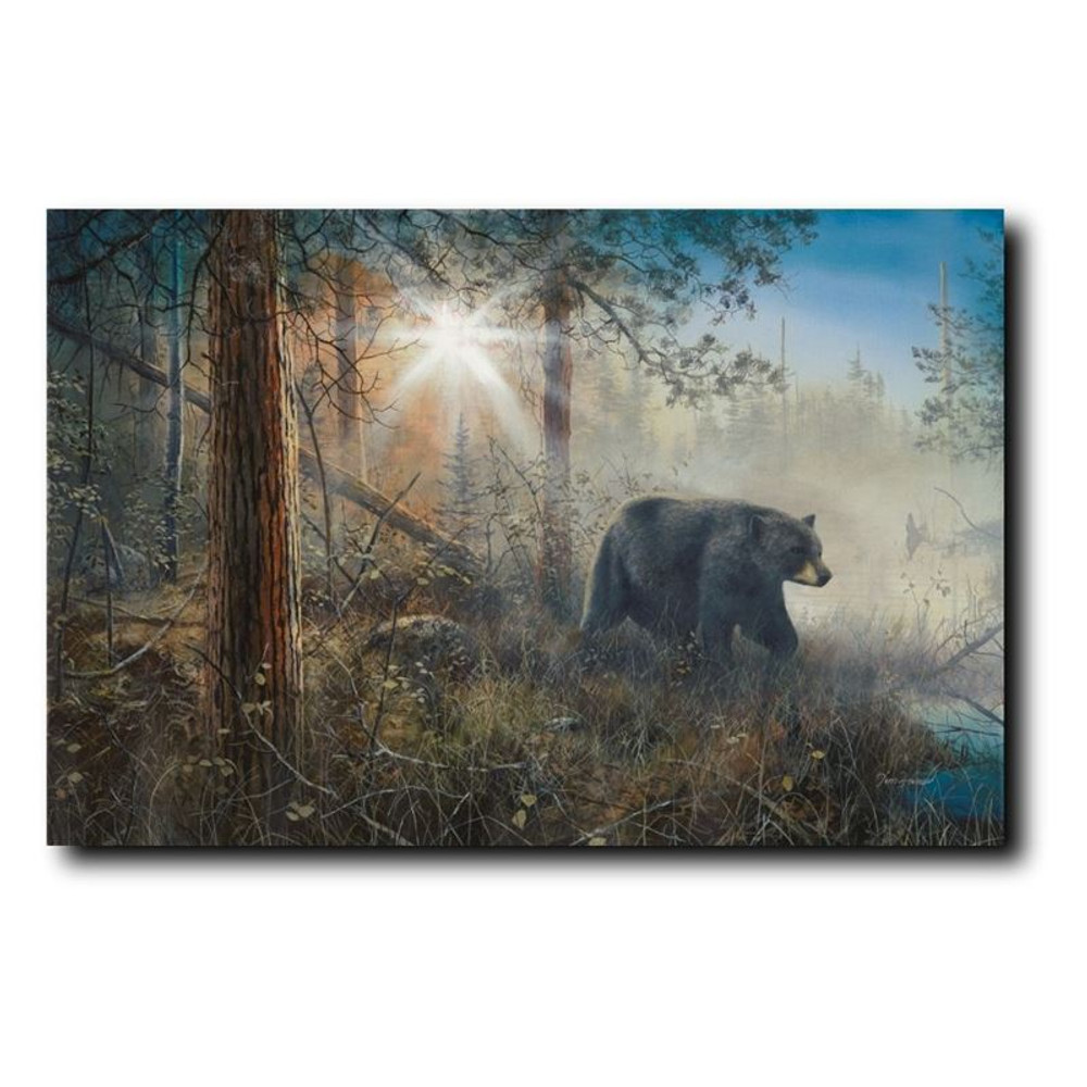 Bear Print "Shadow in the Mist" | Jim Hansel | JHshadowinmist