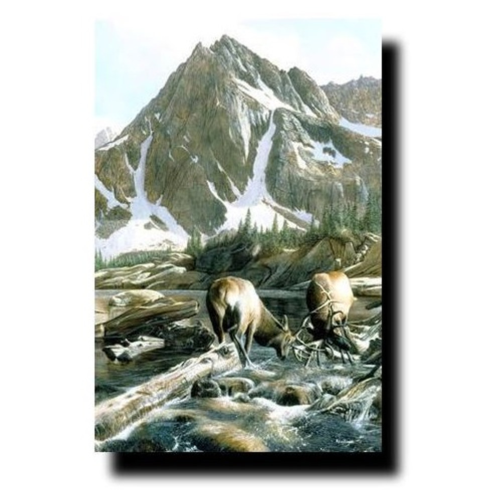 Elk Print "Mountain Challenge" | Kevin Daniel | KD123