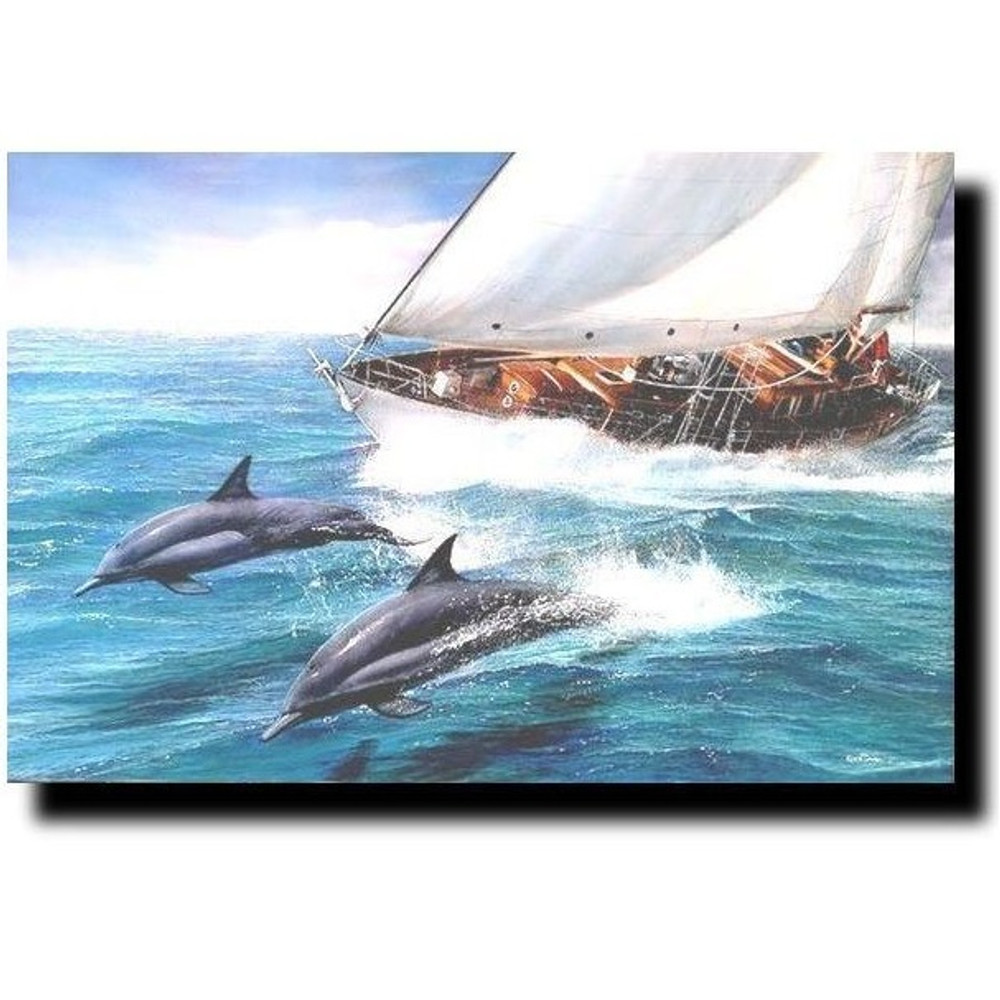 Dolphin Print "Sailing the Wind" | Kevin Daniel | KD126
