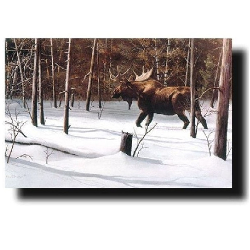 Moose Print "Winter Forage" | Kevin Daniel | KD176