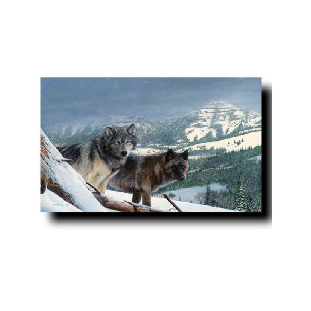 Wolf Print "Vantage Point" | Kevin Daniel | KD251