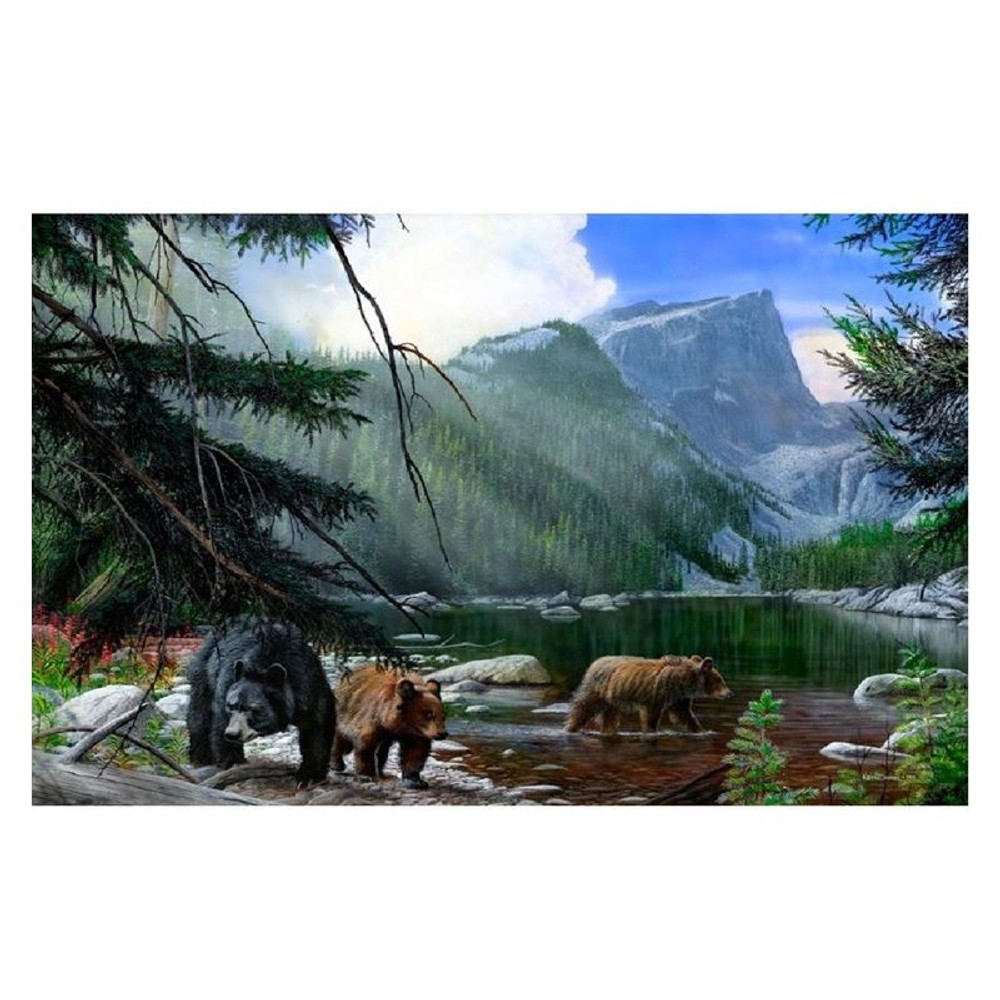 Bear Print "Foraging the Shallows" | Kevin Daniel | KD271