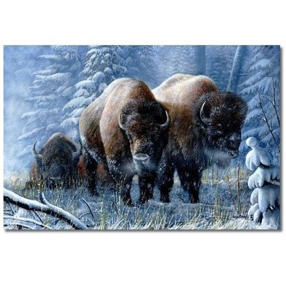 Bison Print "Winter Respite" | Kevin Daniel | KD473