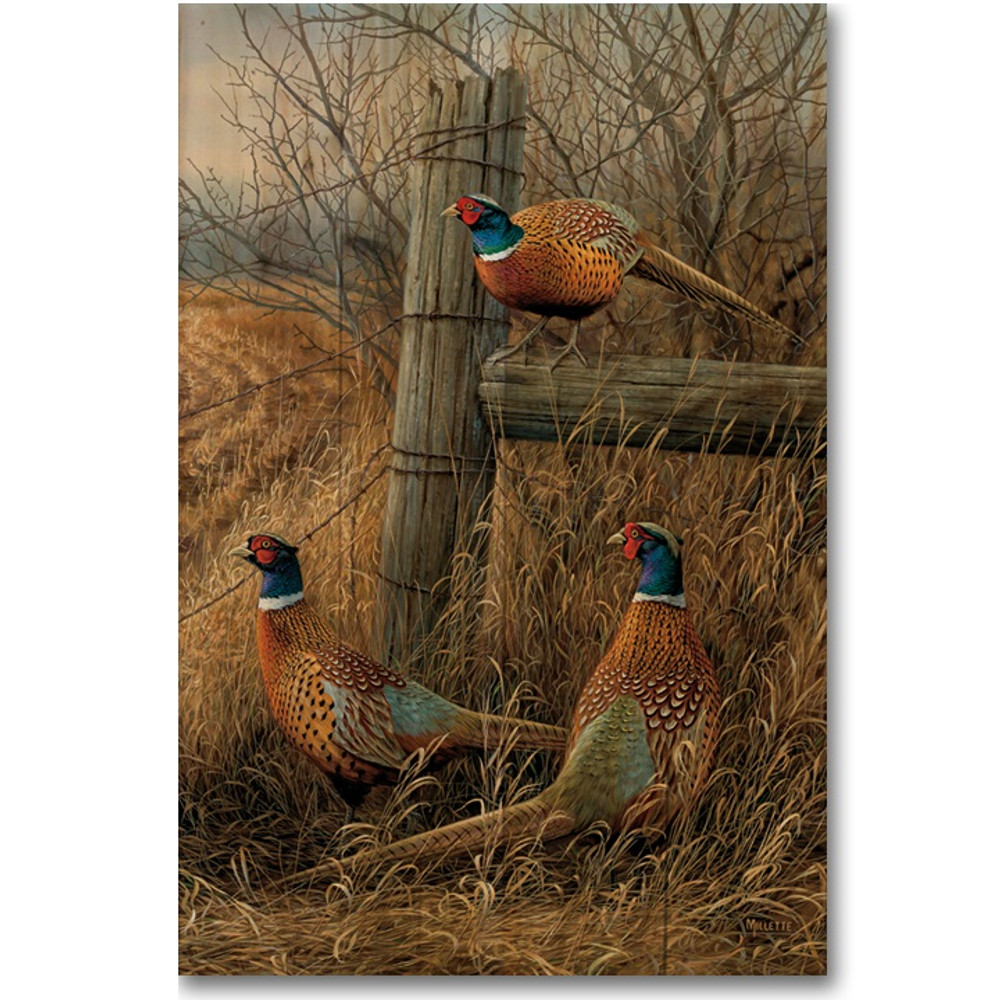 Pheasant Wood Wall Art "Abandoned Fenceline" | Wood Graphixs | WGIAF1624