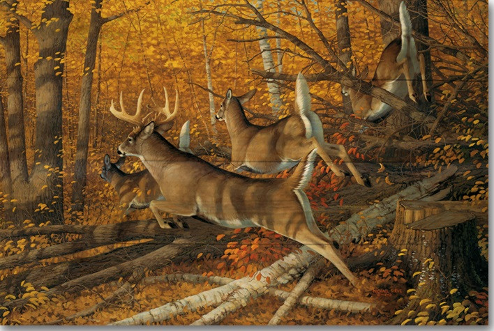 Maple Rush Deer Wood Wall Art Home Decor