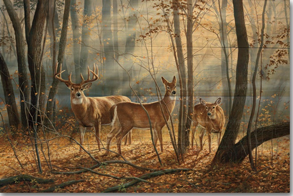 Deer Wood Wall Art "Woodland Splendor" | Wood Graphixs | WGIWOOS2416