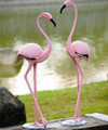 Pink Flamingo Garden Sculptures | 33349 | SPI Home