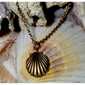 Scallop Shell Antique Gold Brass Pendant Necklace | Elaine Coyne Jewelry | ECGOCG485PDCH