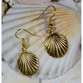 Scallop Shell Antique Gold Brass Wire Earrings | Elaine Coyne Jewelry | ECGOCG485E
