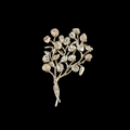 Baby's Breath Sterling Silver Keshi Pearl Pin | Michael Michaud | 5961S | Nature Jewelry 