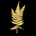 Fern Leaf Gold Pin | Michael Michaud | 5955V | Nature Jewelry 