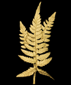 Fern Leaf Gold Pin | Michael Michaud | 5955V | Nature Jewelry 