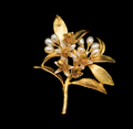 Orange Blossom Pearl and Gold Pin | Michael Michaud | 5776V | Nature Jewelry 