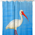 Ibis Shower Curtain "Posing White Ibis" | BDSH1086