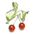 Cherry Pin | Michael Michaud Jewelry | SS5626bzrj