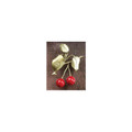 Cherry Pin | Michael Michaud Jewelry | SS5626bzrj -2