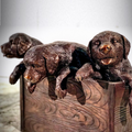 Puppies in a Box Bronze Outdoor Statue | Metropolitan Galleries | SRB25146