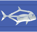 African Pompano Stainless Steel Wall Art | R Mended Metals | 100603
