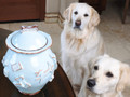 French Blue Stoneware Dog Treat Jar With Lid | CCEPDJB3003