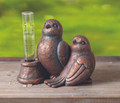 SongBird Pair Rain Gauge | IMRGAV