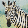 Zebra Wrapped Canvas | CTSM-AM191