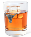 Set of 2 Longhorn Double Old Fashioned Glasses