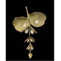 Eucalyptus Seed Brooch | Nature Jewelry | Michael Michaud | 6235BZWP
